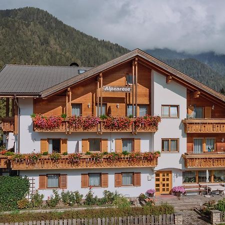 Residence Alpenrose Rasùn di Sotto Kültér fotó